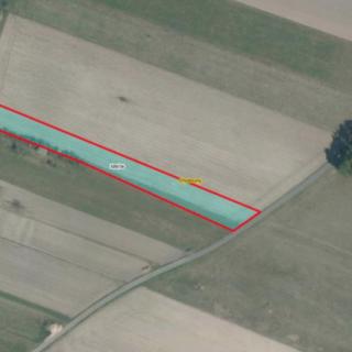 Prodej zahrady 3 005 m² Chodouny