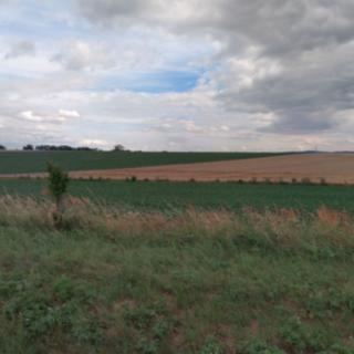 Prodej zemědělské půdy 5092 m² Opava