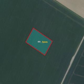 Prodej zemědělské půdy 4 922 m² Čankovice