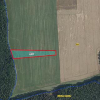 Prodej zemědělské půdy 6 150 m² Luže