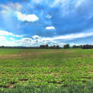 Prodej zemědělské půdy 33861 m² Opava