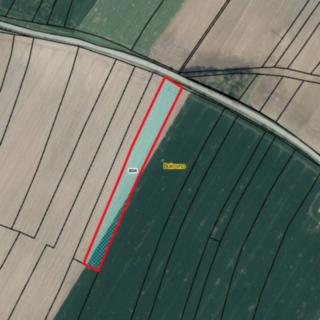 Prodej zemědělské půdy 2775 m² Bukovno