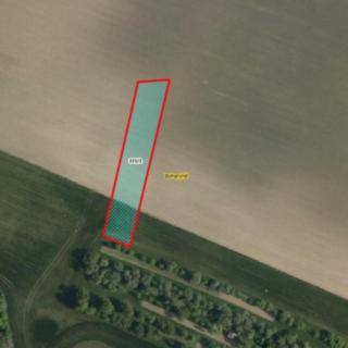 Prodej zemědělské půdy 2 572 m² Boharyně