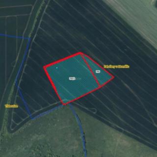 Prodej zemědělské půdy 7187 m² Křešice