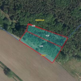 Prodej ostatních pozemků 6644 m² Lázně Bohdaneč