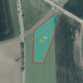 Prodej zemědělské půdy 6270 m² Čížkovice