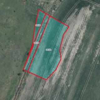 Prodej zemědělské půdy 4543 m² Chotěšice
