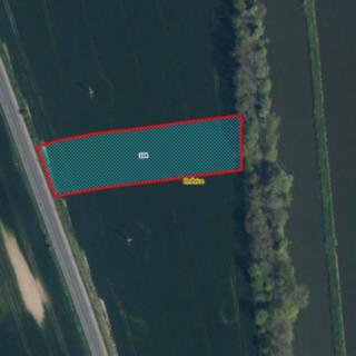 Prodej zemědělské půdy 4190 m² Štětí