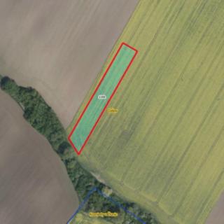 Prodej zemědělské půdy 4 305 m² Češov