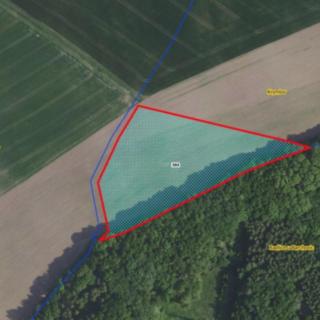 Prodej zemědělské půdy 14166 m² Oleška