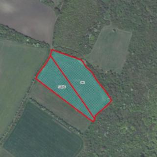 Prodej zemědělské půdy 15000 m² Jenčice