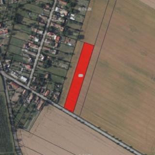 Prodej zemědělské půdy 8419 m² Žlunice