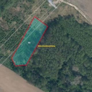 Prodej louky 2381 m² Vrbice