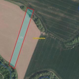 Prodej zemědělské půdy 675 m² Dvůr Králové nad Labem