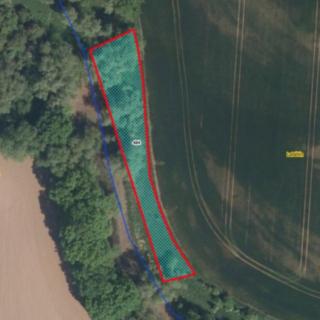 Prodej louky 1494 m² Řečany nad Labem