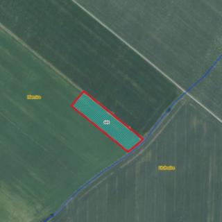 Prodej zemědělské půdy 1456 m² Hlavnice