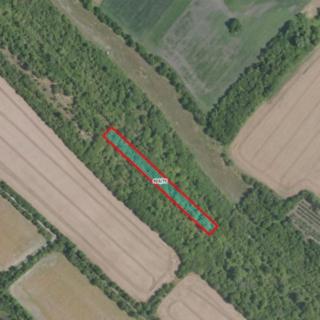 Prodej zemědělské půdy 1455 m² Čečelice