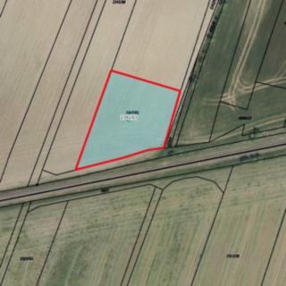 Prodej zemědělské půdy 1 774 m² Holice