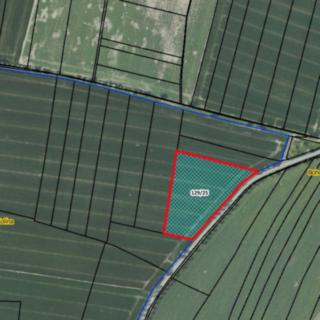 Prodej zemědělské půdy 7209 m² Červené Pečky