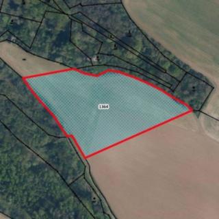 Prodej zemědělské půdy 7800 m² Kokořín