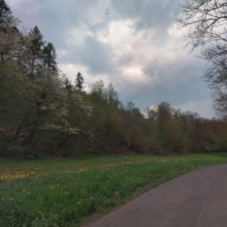 Prodej zahrady 17 989 m² Snědovice