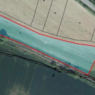 Prodej zemědělské půdy 6563 m² Černuc