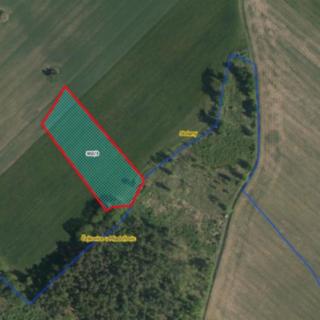 Prodej zemědělské půdy 5612 m² Stolany