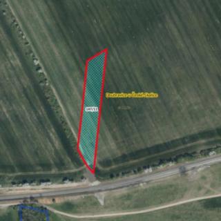 Prodej zemědělské půdy 2 826 m² Rychnovek Doubravice u České Skalice