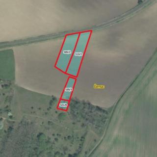Prodej zemědělské půdy 4292 m² Černuc