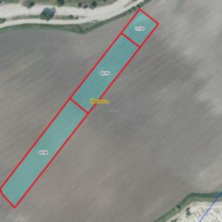 Prodej zemědělské půdy 7982 m² Čížkovice