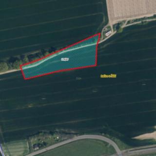 Prodej ostatních pozemků 8045 m² Račice