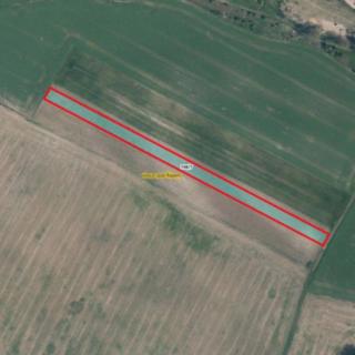 Prodej zemědělské půdy 5002 m² Krabčice
