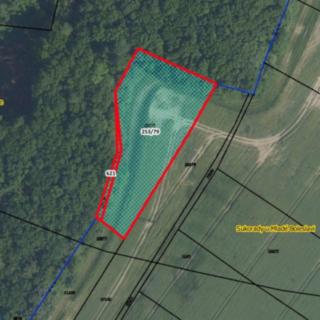 Prodej zemědělské půdy 3349 m² Sukorady
