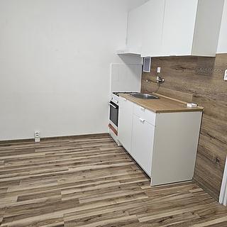 Pronájem bytu 1+1 36 m² Ostrava