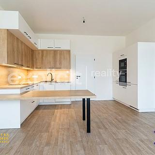 Pronájem bytu 4+kk 98 m² Hostovlice