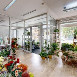 Prodej obchodu 110 m² Bojkovice, Sušilova
