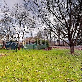 Prodej zahrady 922 m&sup2; Zádveřice-Raková