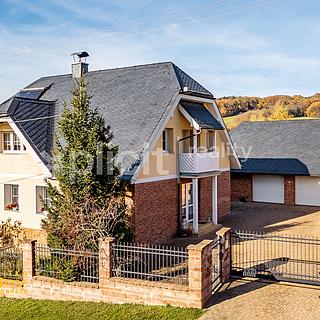 Prodej rodinného domu 234 m² Provodov