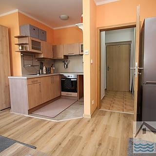 Prodej bytu 1+kk a garsoniéry 35 m² Přezletice, U Ctěnického Potoka