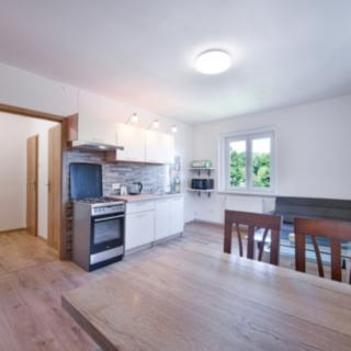 Pronájem bytu 1+1 40 m² Aš, Březová