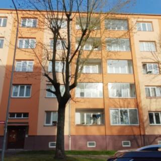 Prodej bytu 2+1 55 m² Ostrov, Kollárova