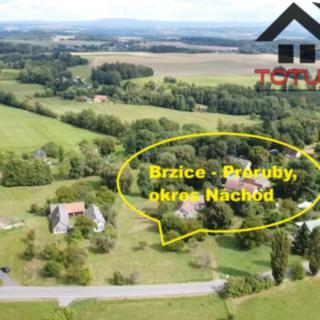 Prodej stavební parcely 1964 m² Brzice