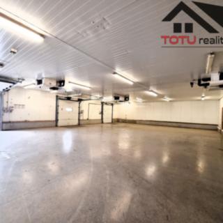 Pronájem skladu 4 500 m² Černožice