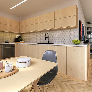 Prodej půdního prostoru 44 m&sup2; Brno