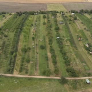 Prodej zemědělské půdy 1 446 m² Strážnice