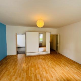 Pronájem bytu 1+1 50 m² Praha Braník, Psohlavců