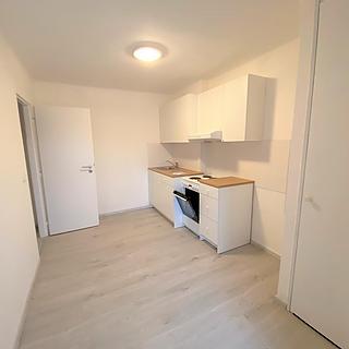 Pronájem bytu 1+1 38 m² Libochovice, Rokycanova