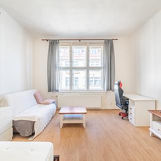 Pronájem bytu 1+1 55 m&sup2; Praha