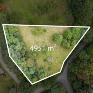 Prodej ostatního pozemku 4 951 m² Průhonice