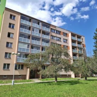 Prodej bytu 1+kk a garsoniéry 29 m² Frýdek-Místek Místek, 17. listopadu
